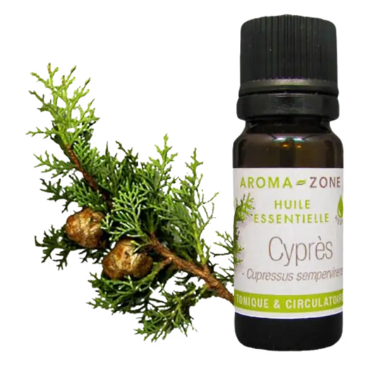 Aceite esencial de Cypress ( Cupressus sempervirens) en Medellin, Cali, Bogota