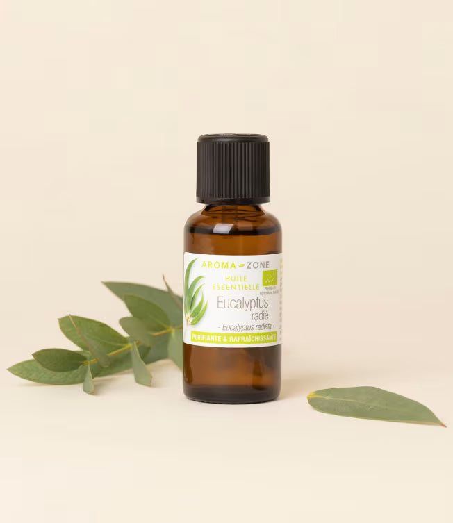 AZ Aceite Esencial de Eucalipto Radiata 30ml Puro Organico