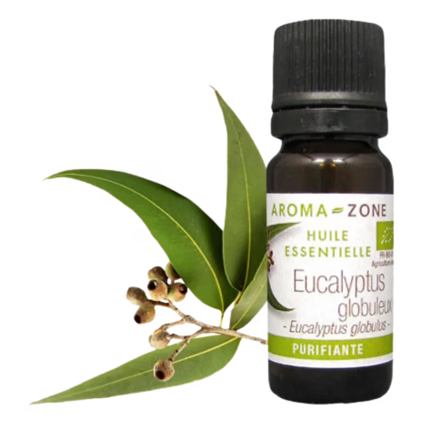 AZ Aceite Esencial de Eucalipto Organico 10ml  Puro 100% Bogota Colombia