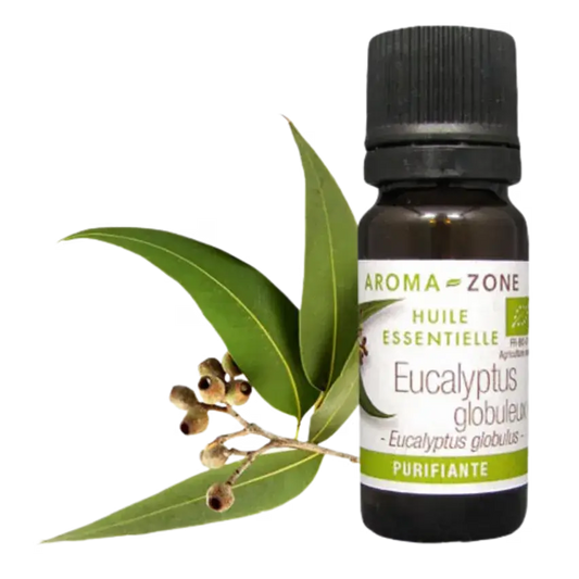 AZ Aceite Esencial de Eucalipto Organico 10ml Puro 100% Bogota Colombia