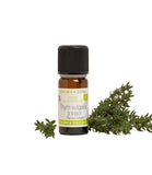 AZ Aceite Esencial de Tomillo Organico 10ml Thym Vulgare a Linalol Puro y Organico Colombia