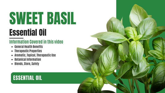 Aroma Zone Aceite Esencial De Albahaca 30ml Puro Basilic Tropical beneficios