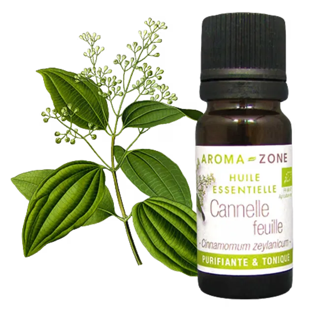 AZ Aceite Esencial de Canela Hojas 30ml Organico