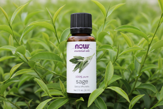 Now Aceite esencial de salvia Colombia Salvia Officinalis