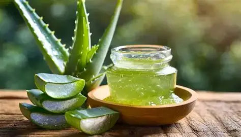 Puro&Organico Gel Aloe Vera Organico Puro 110ml
