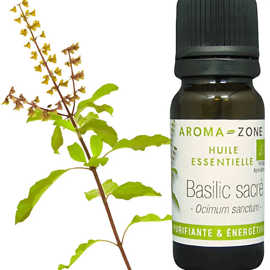 Aroma Zone Aceite Esencial de Albahaca 10ml Basilic sacre Colombia