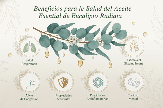 Kiska Aceite Esencial de Eucalipto 10ml Puro 100% Puro y Organico Colombia
