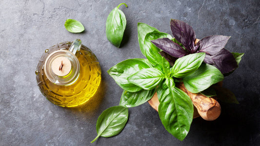 🌿 Beneficios del Aceite Esencial de Albahaca Tropical: Guía Completa, Usos y Propiedades | Puro y Orgánico Colombia