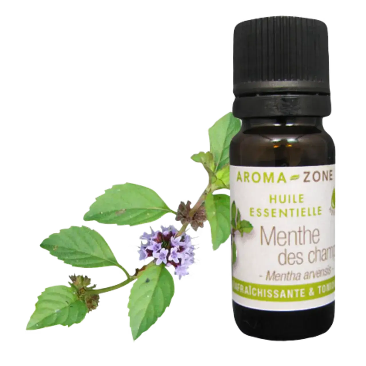 Aroma Zone Aceite Esencial de Menta de Campo 10ml Organico Menthe de Champs - imagen 1