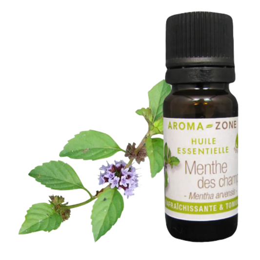 (Llega en 20 dias) Aroma Zone Aceite Esencial de Menta de Campo 10ml Organico Menthe de Champs