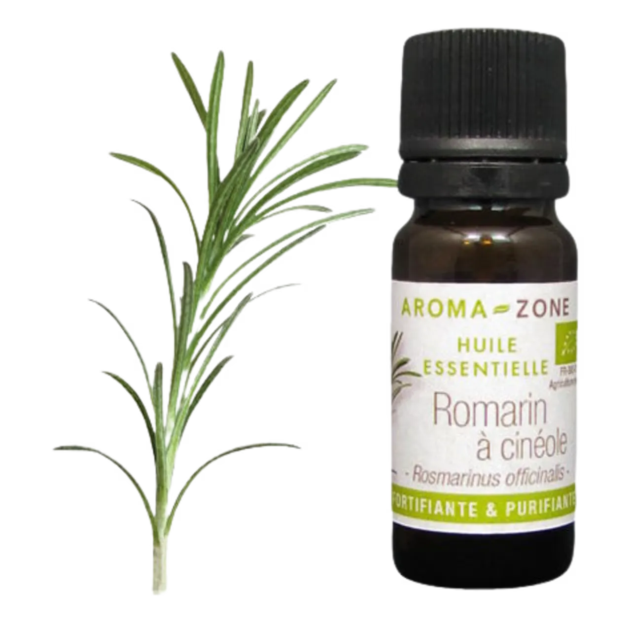 AZ Aceite Esencial de Romero Organico 10ml Rosmarinus officinalis Romero quimiotipo Cineol