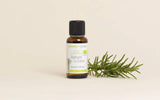 Aroma Zone Aceite esencial de Romero 30ml Organico Quimiotipo Cineol