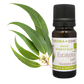 AZ Aceite Esencial de Eucalipto Radiata  10ml  Puro Organico Bogota