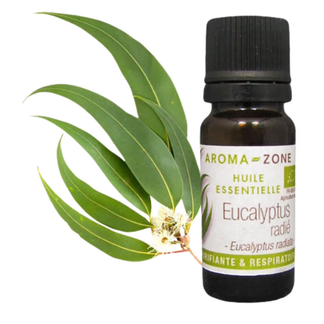 AZ Aceite Esencial de Eucalipto Radiata  10ml  Puro Organico Bogota