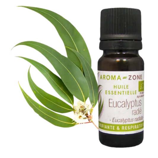 AZ Aceite Esencial de Eucalipto Radiata  10ml  Puro Organico Bogota - imagen 1