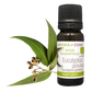 AZ Aceite Esencial de Eucalipto Organico 10ml  Puro 100% Bogota Colombia