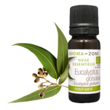 AZ Aceite Esencial de Eucalipto Organico 10ml  Puro 100% Bogota Colombia
