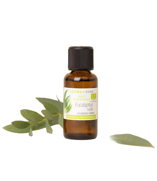 AZ Aceite Esencial de Eucalipto Radiata  30ml  Puro Organico Bogota Colombia