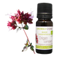 Aceite Esencial de Orégano 5ml - 100% Puro y Orgánico | Aroma Zone