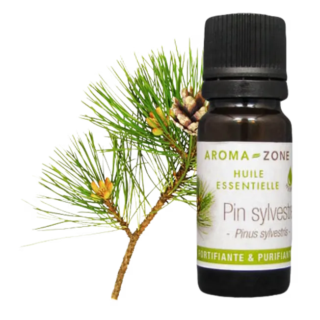 Aroma Zone Aceite Esencial de Pino 10ml Pin Silvestre Puro y Orgánico Colombia