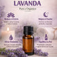 Beneficios aceite esencial de lavanda Colombia