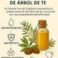 Beneficios aceite esencial  arbol de te Bogota Colombia tea tree