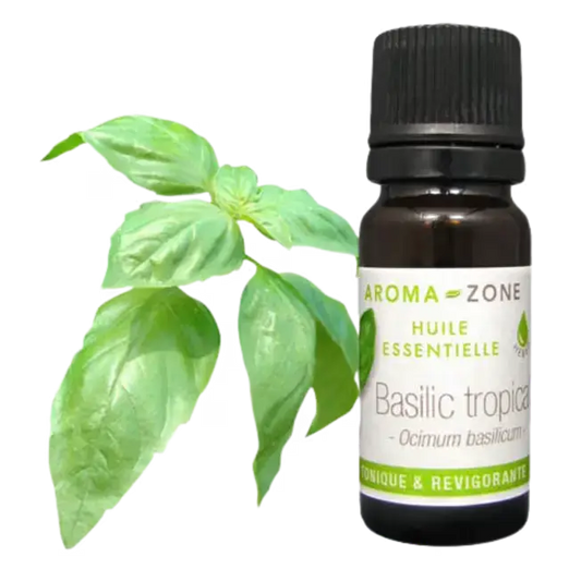 Aroma Zone Aceite Esencial de Albahaca 30ml Puro Basilic tropical