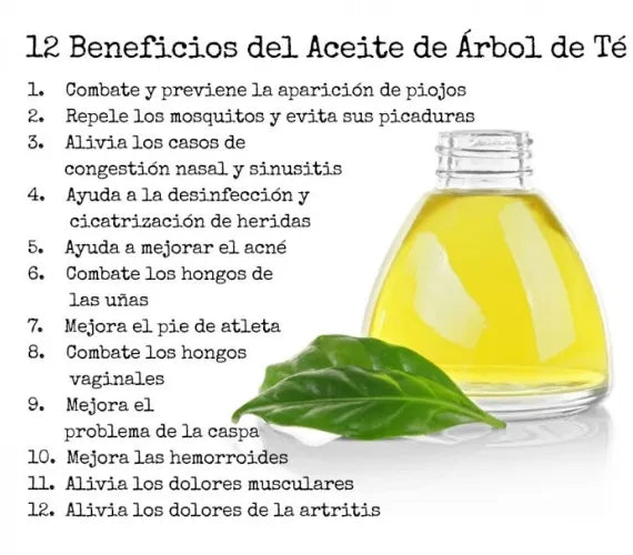 beneficios aceite arbol de te ogota Colombia tea tree