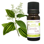AZ Aceite Esencial de Canela Hojas 30ml Organico