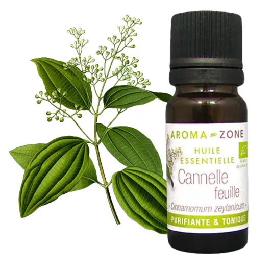 AZ Aceite Esencial de Canela Hojas 30ml Organico
