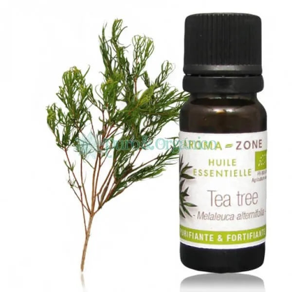 AZ Aceite esencial de Arbol de Te 10ml  Puro  Organico Colombia Tea tree oil