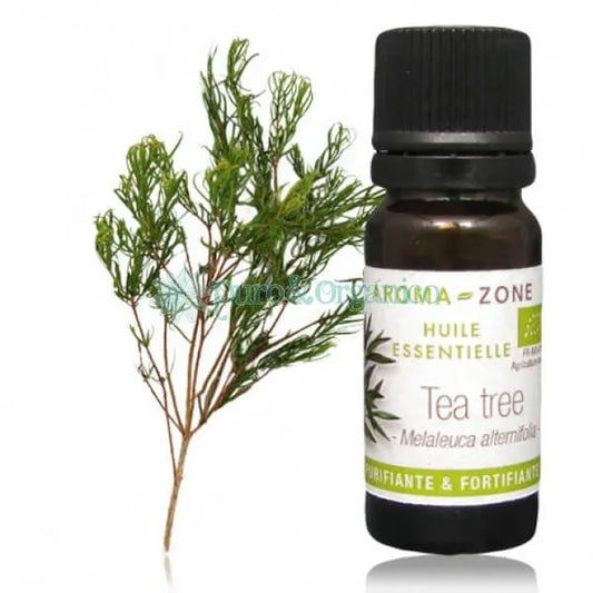 AZ Aceite esencial de Arbol de Te 10ml  Puro  Organico Colombia Tea tree oil