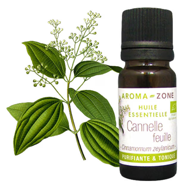 AZ Aceite Esencial de Canela Hojas 30ml Organico