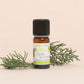 Aroma Zone Aceite Esencial de Cipress 10ml Organico Bogota Colombia Cupressus sempervire