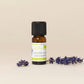 AZ Aceite Esencial de Lavanda 10ml Organica Puro (Lavandula angustifolia) Vraie