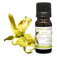 Aroma Zone Aceite Esencial de Ylang Ylang Completo 10ml Organico