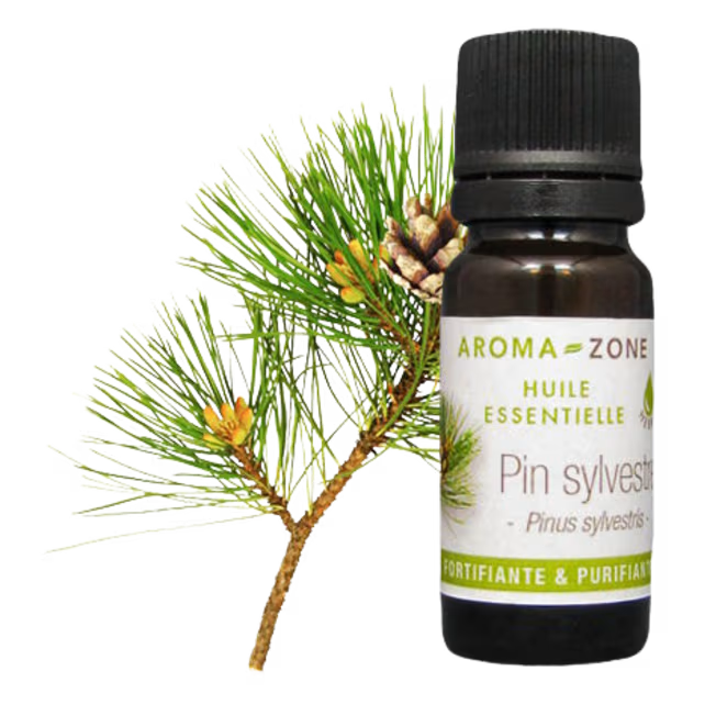 Botella de Aceite Esencial de Pino Aroma Zone con rama de pino verde y copa de pino