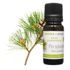 Aroma Zone Aceite Esencial De Pino 10ml Pin Silvestre Puro y Organico Colombia tienda