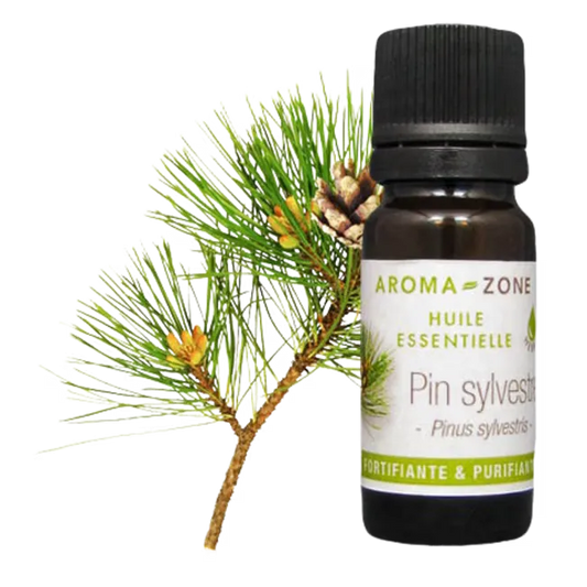 Botella de Aceite Esencial de Pino de Aroma Zone con ramita de pino al fondo