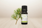 Aroma Zone Aceite Esencial De Pino 10ml Pin Silvestre Puro y Organico Colombia