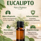 beneficios aceite de eucalipto en tienda Puro y Organico Colombia