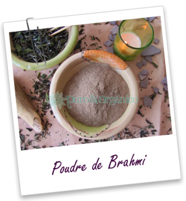 Aroma Zone Polvo Ayurvedico De Brahmi 30gr Bacopa Puro y Orgánico Colombia