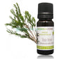 Aceite Esencial Arbol de  Te tea tree