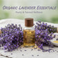 Aceite esencial de lavanda Puro