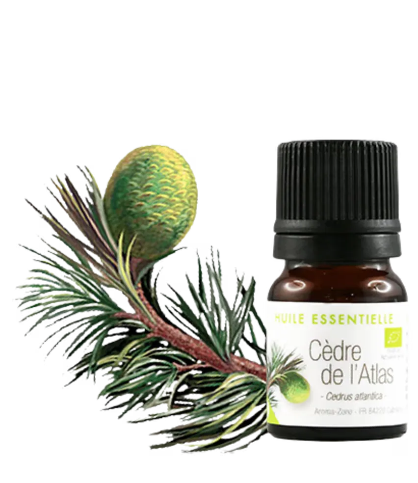 Aroma Zone Aceite esencial de Cedro de Atlas 2ml Cedrus atlántica