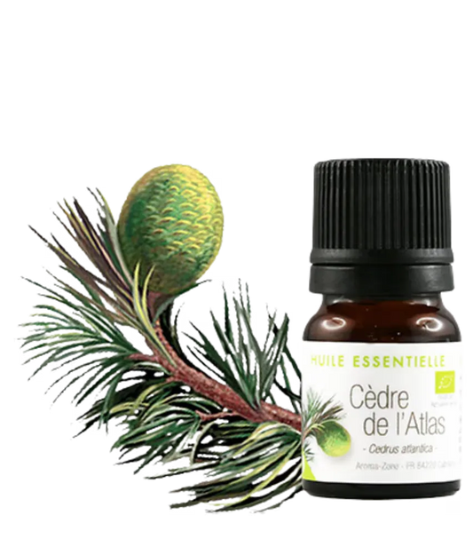 Aroma Zone Aceite esencial de Cedro de Atlas 2ml Cedrus atlántica