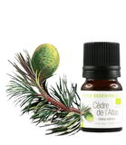 Aroma Zone Aceite esencial de Cedro de Atlas 2ml Cedrus atlántica
