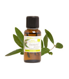Aroma Zone Aceite Esencial de Eucalipto 30ml Organico   Puro 100% Bogota