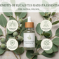  beneficios de Aceites Esenciales de Eucalipto Radiata