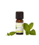 Aroma Zone Aceite Esencial de Menta Piperita 10ml Puro Bio Organica Bogota Colombia